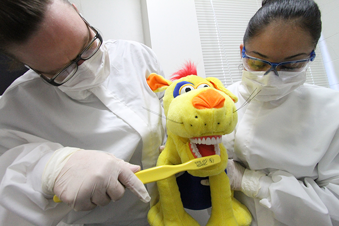 Dental Assisting students brushing a stuffed animals teeth