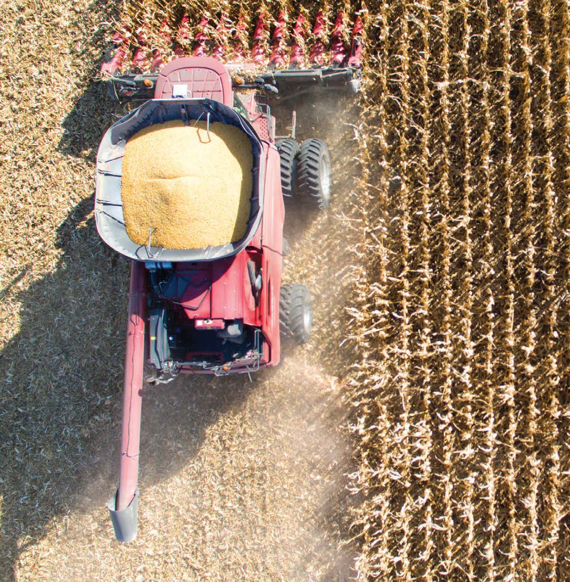 Tractor from above harvest crops